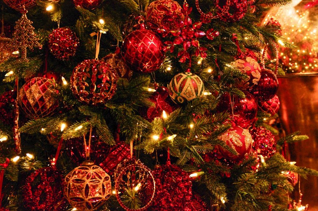 Christmas Dinner in Puerto Vallarta